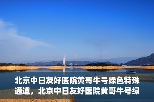 北京中日友好医院黄哥牛号绿色特殊通道，北京中日友好医院黄哥牛号绿色就医特殊通道解析
