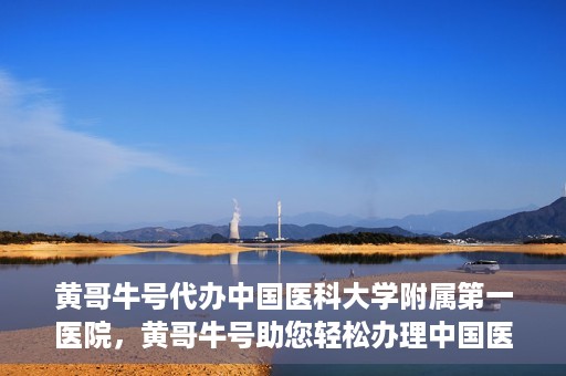 黄哥牛号代办中国医科大学附属第一医院，黄哥牛号助您轻松办理中国医科大学附属第一医院事务。