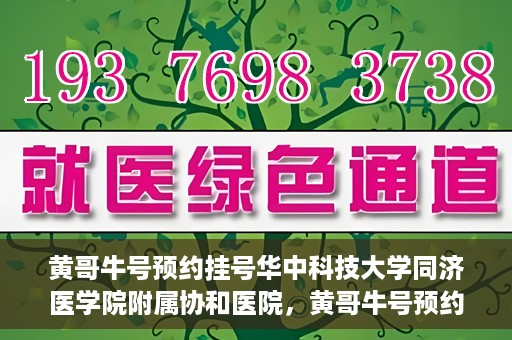黄哥牛号预约挂号华中科技大学同济医学院附属协和医院，黄哥牛号预约挂号，华中科技大学同济医学院附属协和医院就医新体验