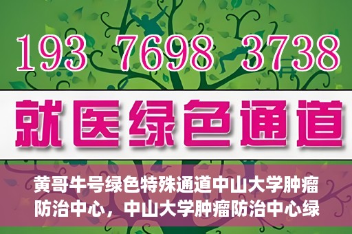 黄哥牛号绿色特殊通道中山大学肿瘤防治中心，中山大学肿瘤防治中心绿色特殊通道，黄哥牛号引领健康新航向
