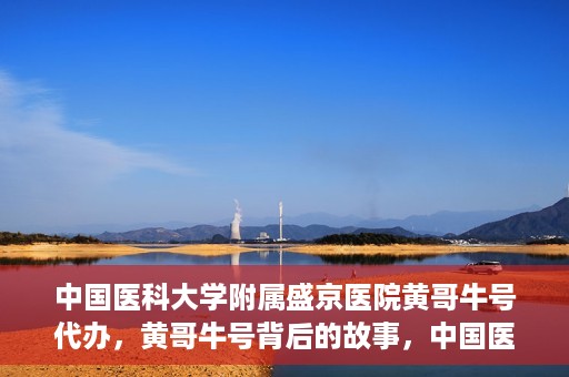 中国医科大学附属盛京医院黄哥牛号代办，黄哥牛号背后的故事，中国医科大学附属盛京医院的信赖之选