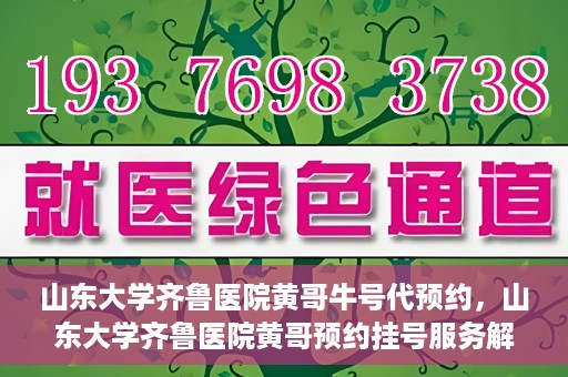 山东大学齐鲁医院黄哥牛号代预约，山东大学齐鲁医院黄哥预约挂号服务解析