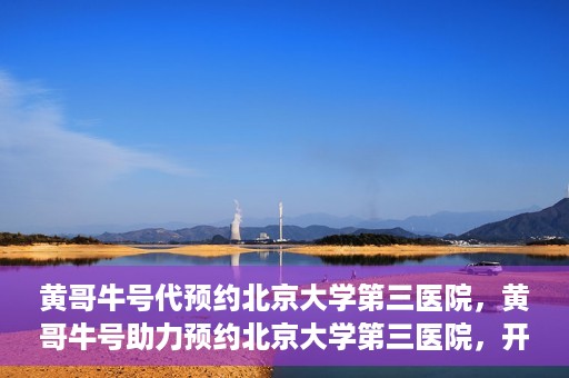 黄哥牛号代预约北京大学第三医院，黄哥牛号助力预约北京大学第三医院，开启健康新篇章
