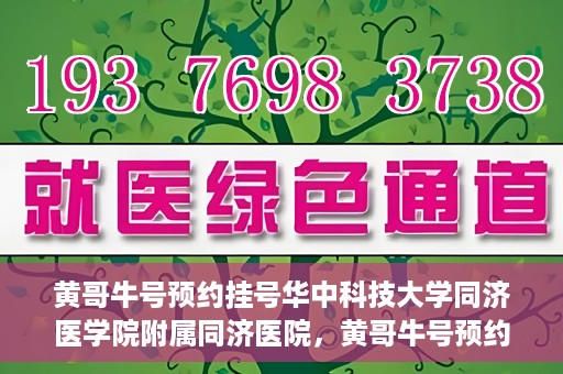 黄哥牛号预约挂号华中科技大学同济医学院附属同济医院，黄哥牛号预约挂号服务，华中科技大学同济医学院附属同济医院便捷就医新体验
