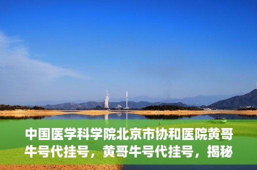 中国医学科学院北京市协和医院黄哥牛号代挂号，黄哥牛号代挂号，揭秘中国医学科学院北京市协和医院挂号背后的故事