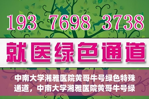 中南大学湘雅医院黄哥牛号绿色特殊通道，中南大学湘雅医院黄哥牛号绿色特殊通道，医疗服务的创新实践与人文关怀的体现