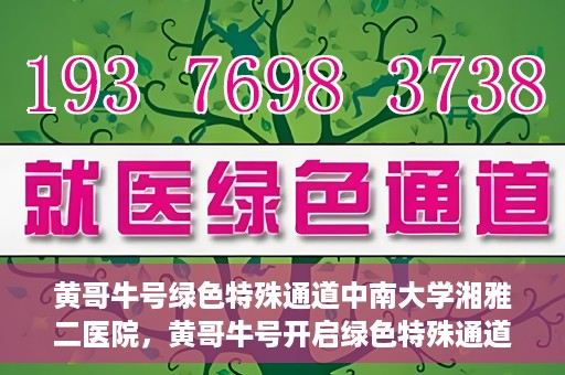 黄哥牛号绿色特殊通道中南大学湘雅二医院，黄哥牛号开启绿色特殊通道——中南大学湘雅二医院新篇章