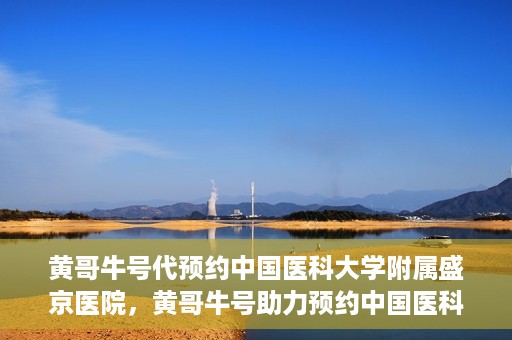 黄哥牛号代预约中国医科大学附属盛京医院，黄哥牛号助力预约中国医科大学附属盛京医院专业服务