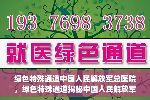 绿色特殊通道中国人民解放军总医院，绿色特殊通道揭秘中国人民解放军总医院的力量之源