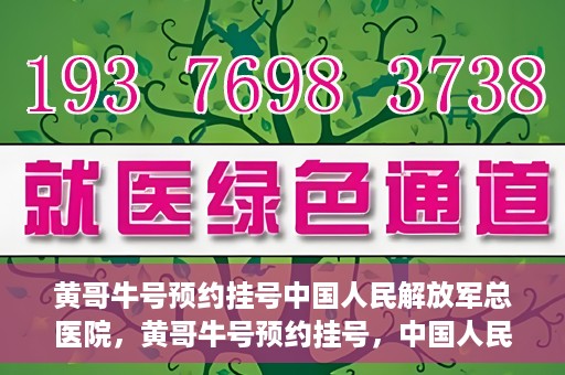 黄哥牛号预约挂号中国人民解放军总医院，黄哥牛号预约挂号，中国人民解放军总医院就医新体验