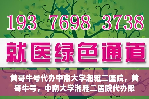 黄哥牛号代办中南大学湘雅二医院，黄哥牛号，中南大学湘雅二医院代办服务详解