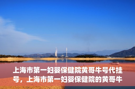 上海市第一妇婴保健院黄哥牛号代挂号，上海市第一妇婴保健院的黄哥牛号代挂号服务解析