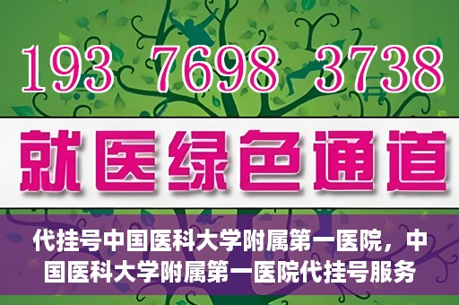 代挂号中国医科大学附属第一医院，中国医科大学附属第一医院代挂号服务详解