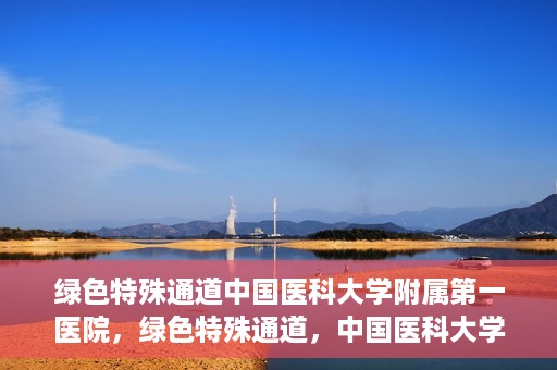 绿色特殊通道中国医科大学附属第一医院，绿色特殊通道，中国医科大学附属第一医院探索前行
