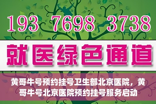 黄哥牛号预约挂号卫生部北京医院，黄哥牛号北京医院预约挂号服务启动