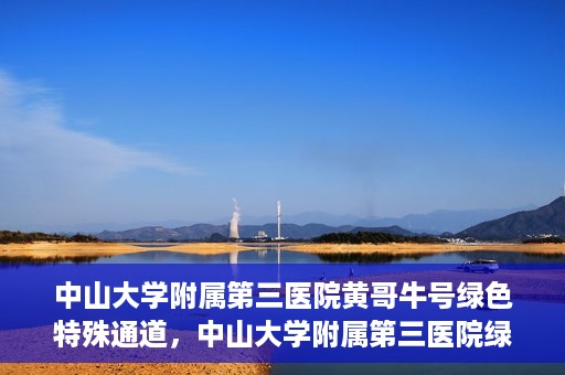 中山大学附属第三医院黄哥牛号绿色特殊通道，中山大学附属第三医院绿色特殊通道，黄哥牛号引领医疗创新之路