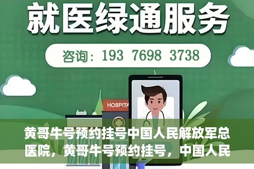 黄哥牛号预约挂号中国人民解放军总医院，黄哥牛号预约挂号，中国人民解放军总医院就医新体验