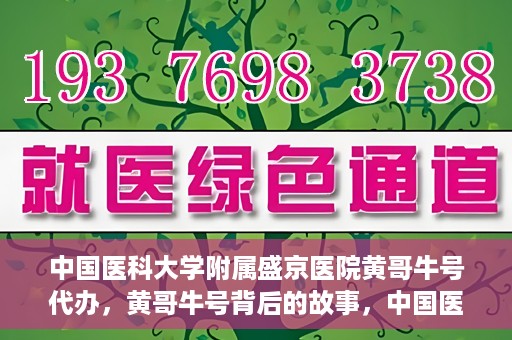 中国医科大学附属盛京医院黄哥牛号代办，黄哥牛号背后的故事，中国医科大学附属盛京医院的信赖之选