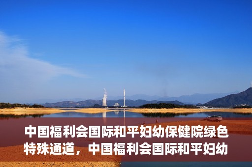 中国福利会国际和平妇幼保健院绿色特殊通道，中国福利会国际和平妇幼保健院，绿色特殊通道助力母婴健康守护
