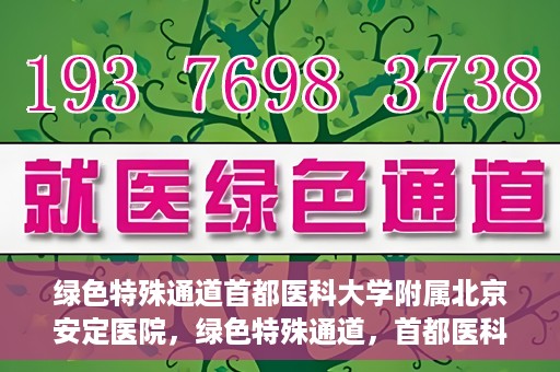 绿色特殊通道首都医科大学附属北京安定医院，绿色特殊通道，首都医科大学附属北京安定医院的探索与实践