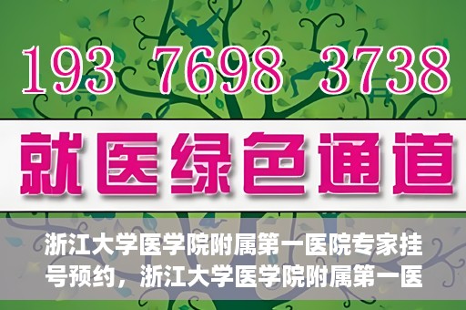 浙江大学医学院附属第一医院专家挂号预约，浙江大学医学院附属第一医院专家挂号预约攻略揭秘