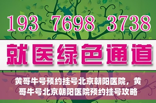 黄哥牛号预约挂号北京朝阳医院，黄哥牛号北京朝阳医院预约挂号攻略