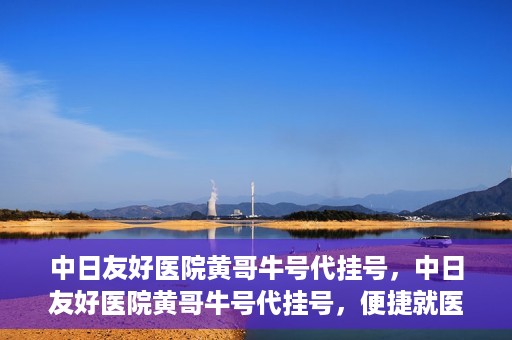 中日友好医院黄哥牛号代挂号，中日友好医院黄哥牛号代挂号，便捷就医背后的故事