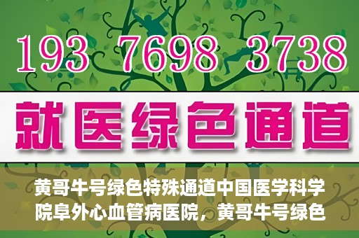 黄哥牛号绿色特殊通道中国医学科学院阜外心血管病医院，黄哥牛号绿色就医通道，中国医学科学院阜外心血管病医院的探索与实践