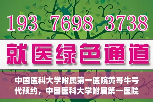 中国医科大学附属第一医院黄哥牛号代预约，中国医科大学附属第一医院黄哥牛号预约服务详解
