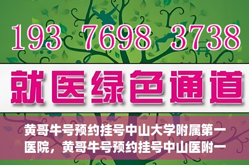 黄哥牛号预约挂号中山大学附属第一医院，黄哥牛号预约挂号中山医附一院，一站式便捷就医体验