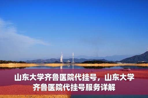 山东大学齐鲁医院代挂号，山东大学齐鲁医院代挂号服务详解