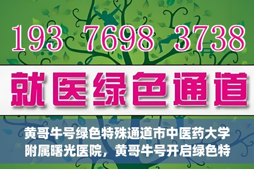 黄哥牛号绿色特殊通道市中医药大学附属曙光医院，黄哥牛号开启绿色特殊通道，市中医药大学附属曙光医院倾力打造健康新篇章