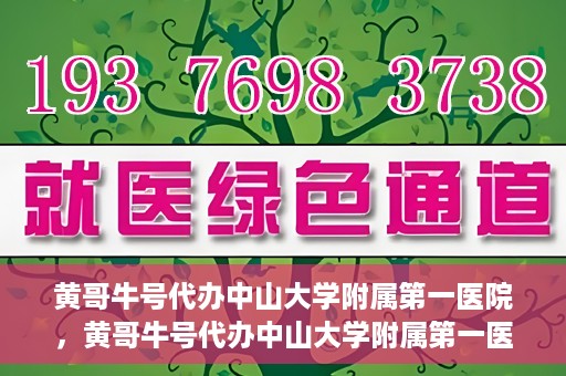 黄哥牛号代办中山大学附属第一医院，黄哥牛号代办中山大学附属第一医院业务手续全攻略