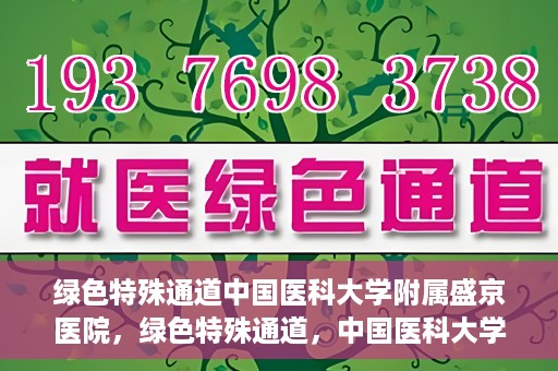 绿色特殊通道中国医科大学附属盛京医院，绿色特殊通道，中国医科大学附属盛京医院的探索与实践