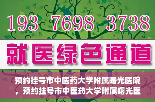 预约挂号市中医药大学附属曙光医院，预约挂号市中医药大学附属曙光医院，一站式便捷就医服务新体验