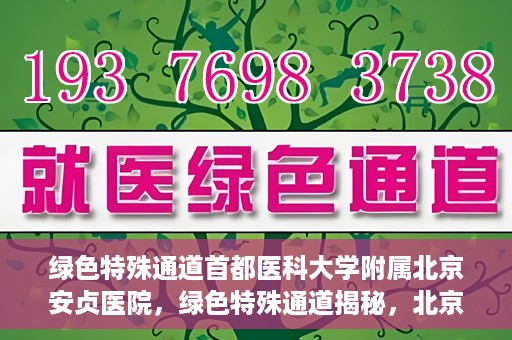 绿色特殊通道首都医科大学附属北京安贞医院，绿色特殊通道揭秘，北京安贞医院的医护力量与医疗实践