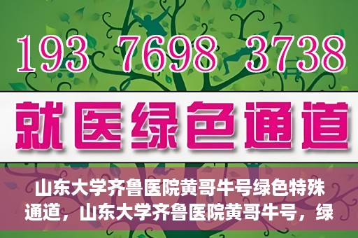 山东大学齐鲁医院黄哥牛号绿色特殊通道，山东大学齐鲁医院黄哥牛号，绿色特殊通道开启健康之门
