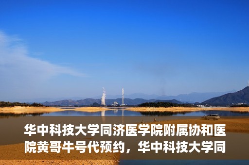 华中科技大学同济医学院附属协和医院黄哥牛号代预约，华中科技大学同济医学院附属协和医院预约服务揭秘，黄哥牛号代预约解析