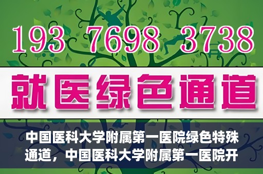 中国医科大学附属第一医院绿色特殊通道，中国医科大学附属第一医院开通绿色特殊通道，助力患者就医体验升级