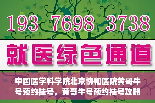 中国医学科学院北京协和医院黄哥牛号预约挂号，黄哥牛号预约挂号攻略，中国医学科学院北京协和医院就医指南