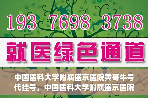 中国医科大学附属盛京医院黄哥牛号代挂号，中国医科大学附属盛京医院黄哥牛号代挂号背后的故事与真相揭秘