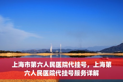 上海市第六人民医院代挂号，上海第六人民医院代挂号服务详解
