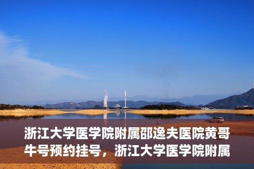 浙江大学医学院附属邵逸夫医院黄哥牛号预约挂号，浙江大学医学院附属邵逸夫医院黄哥名医号预约挂号攻略