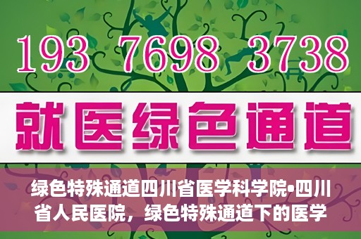绿色特殊通道四川省医学科学院•四川省人民医院，绿色特殊通道下的医学探索，四川省医学科学院·四川省人民医院研究前沿