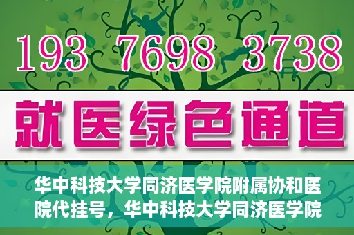 华中科技大学同济医学院附属协和医院代挂号，华中科技大学同济医学院附属协和医院代挂号服务详解