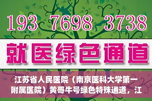 江苏省人民医院（南京医科大学第一附属医院）黄哥牛号绿色特殊通道，江苏省人民医院绿色特殊通道，黄哥牛号的医疗速度与温情服务