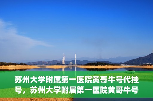 苏州大学附属第一医院黄哥牛号代挂号，苏州大学附属第一医院黄哥牛号代挂号服务解析