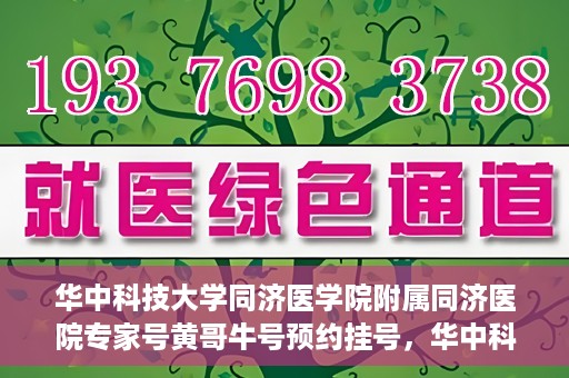 华中科技大学同济医学院附属同济医院专家号黄哥牛号预约挂号，华中科技大学同济医院专家黄哥牛号预约挂号攻略