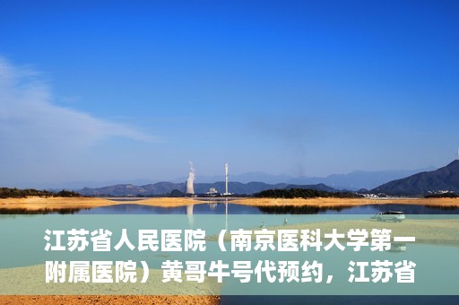 江苏省人民医院（南京医科大学第一附属医院）黄哥牛号代预约，江苏省人民医院（南京医科大学第一附属医院）黄哥牛号预约服务解析