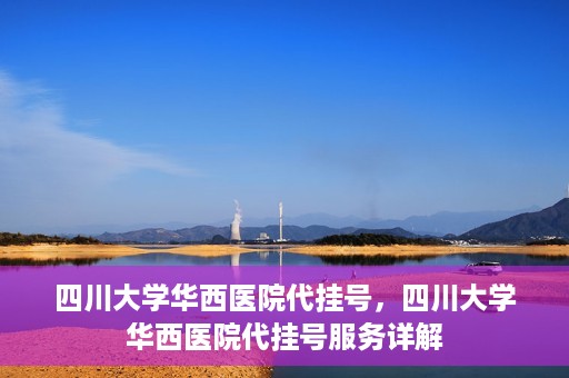 四川大学华西医院代挂号，四川大学华西医院代挂号服务详解